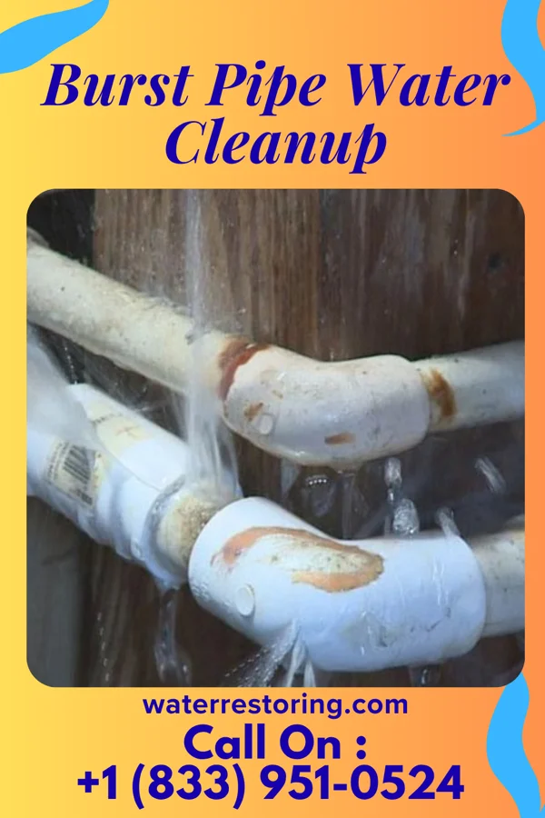 Burst Pipe Water Cleanup in Jacobus, PA