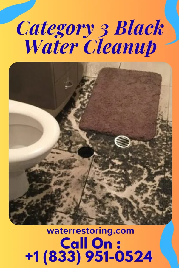 Category 3 Black Water Cleanup in Jacobus, PA