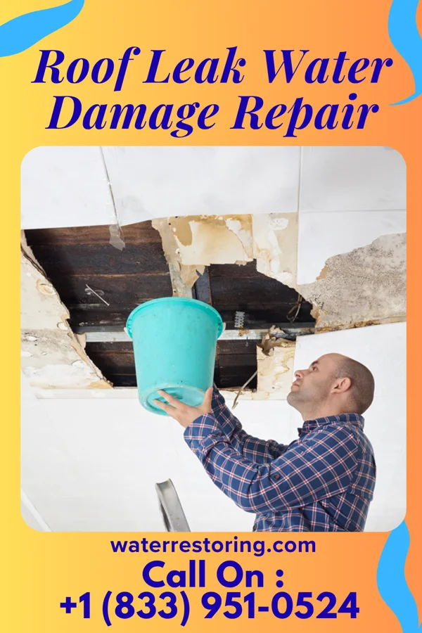 Roof Leak Water Damage Repair in Jacobus, PA