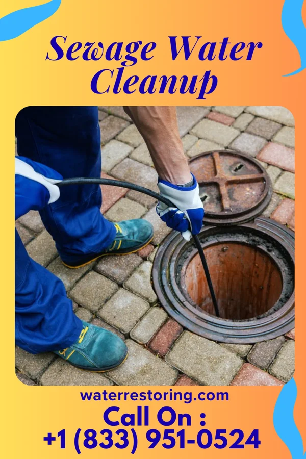 Sewage Water Cleanup in Jacobus, PA