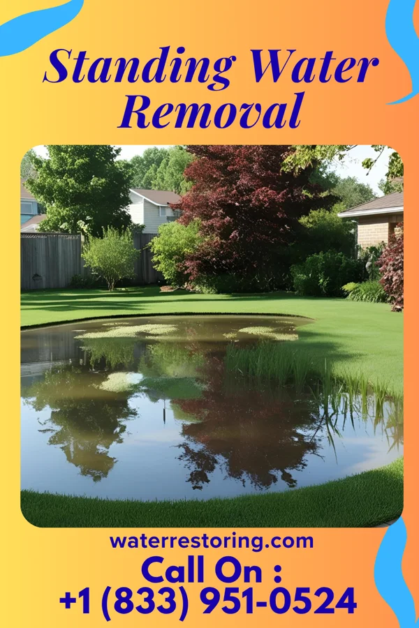 Standing Water Removal in Jacobus, PA